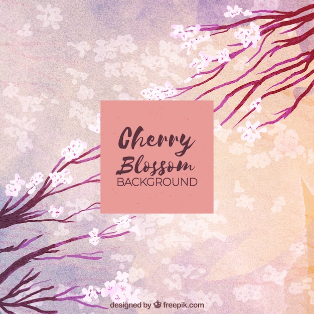 Cherry Blossom Background In Watercolor Style Free Vector