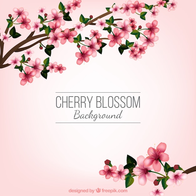 Download Free Vector | Cherry blossom background