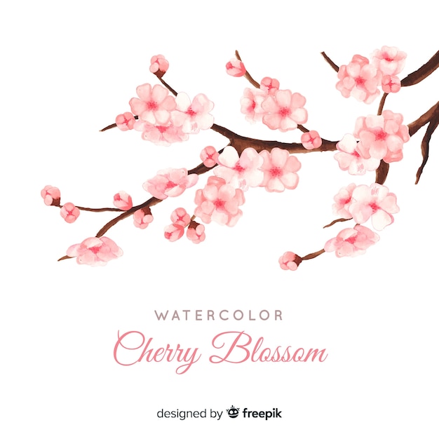 Cherry blossom branchs | Free Vector