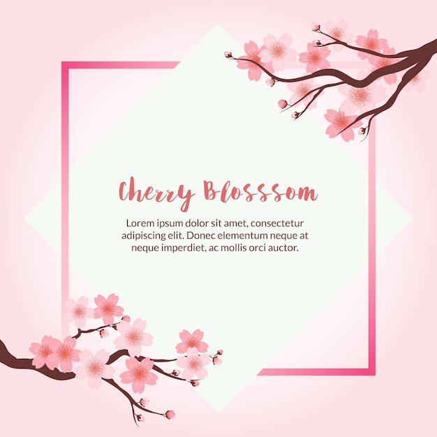 Background Bunga Sakura  Bondowoso Community