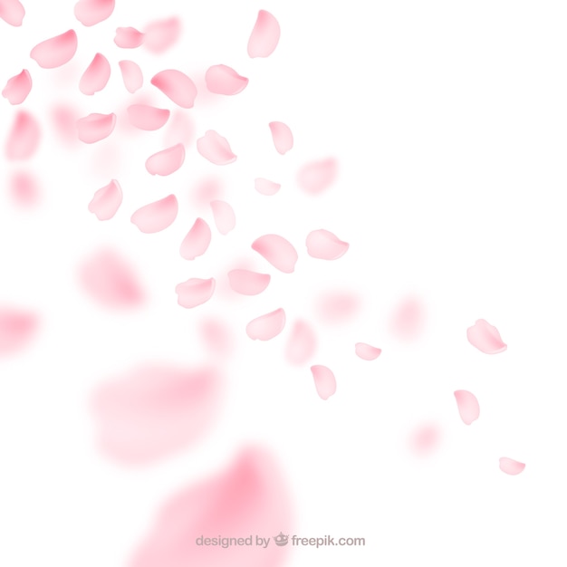 Cherry blossom petals background in gradient
style