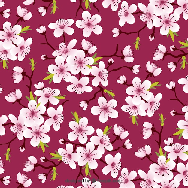 Cherry blossoms pattern Vector | Free Download