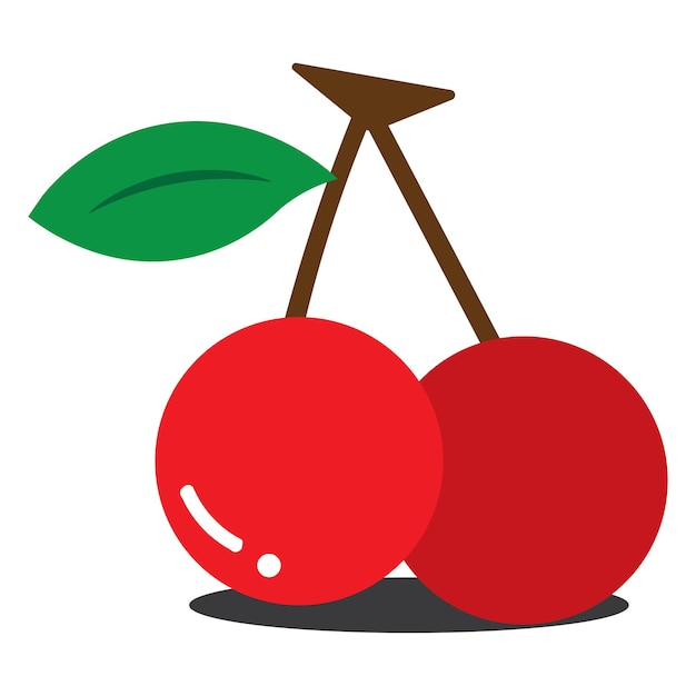 Premium Vector | Cherry in vector illustration