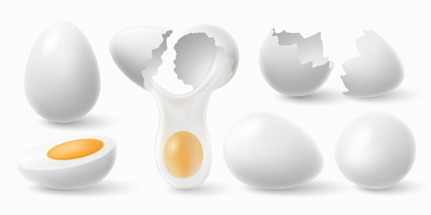鶏の卵 ひびの入った卵殻とゆで卵のリアルなイラストセット プレミアムベクター