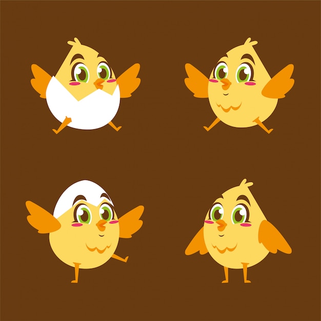 Premium Vector | Chicks animal cartoon character design