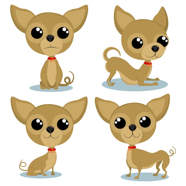 さまざまなポーズでチワワの漫画のキャラクター かわいい小さな犬ベクトルセット分離 プレミアムベクター
