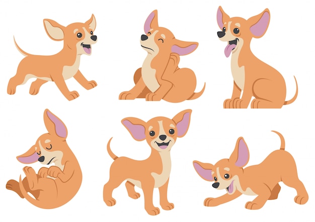 Premium Vector Chihuahua Dog Cartoon Set