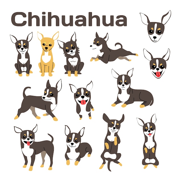 チワワのイラスト 犬のポーズ 犬の品種 プレミアムベクター