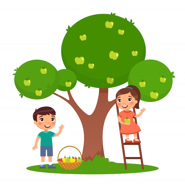 プレミアムベクター りんご狩り子供カラーフラットイラスト 男の子と女の子が一緒に果物を収穫します はしごの妹と庭のリンゴ の木の近くの弟 白の孤立した漫画のキャラクター