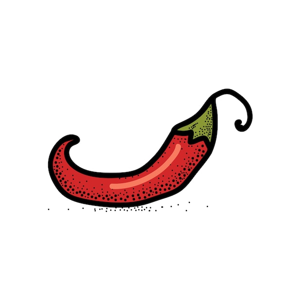 Premium Vector | Chili pepper hand drawn vector illustration