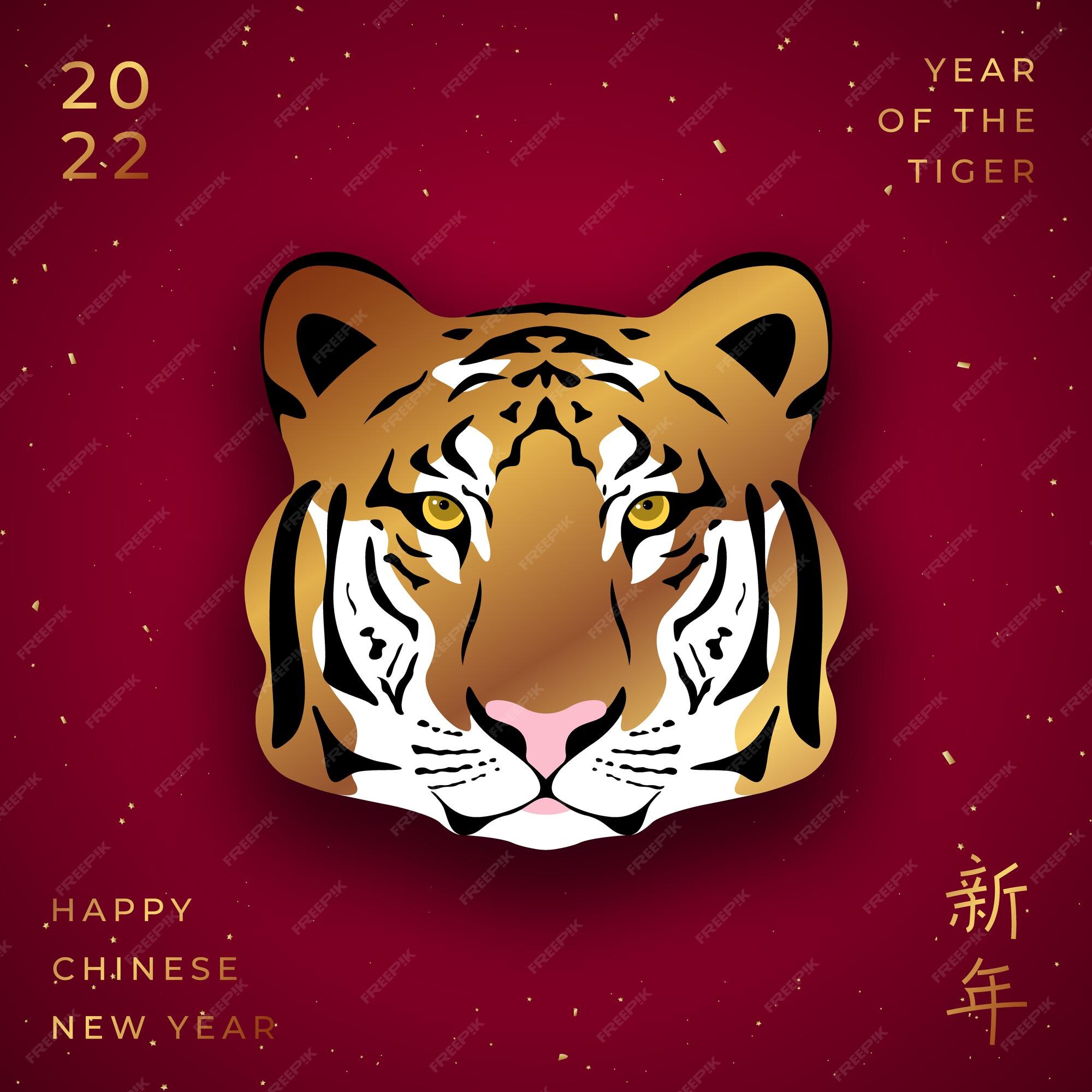 premium-vector-chinese-new-year-traditional-holiday-lunar-new-year