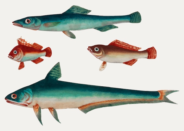 緑の魚2頭と褐色の魚2頭の中国絵 無料のベクター