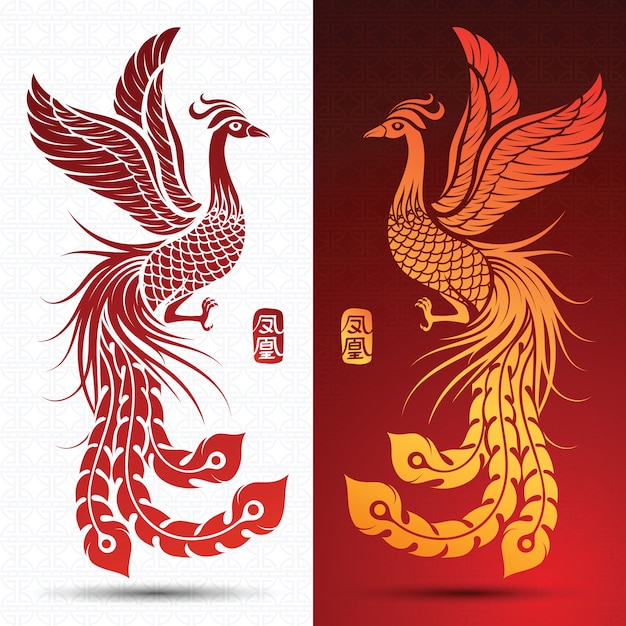 Chinese phoenix Vector Premium Download