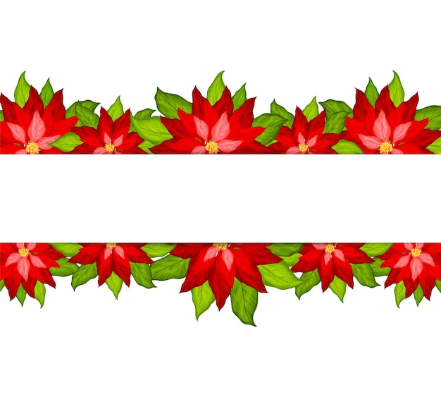 Premium Vector | Christmas background with poinsettia border