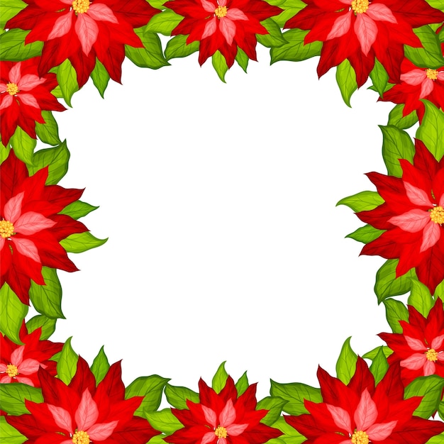 Premium Vector | Christmas background with poinsettia frame vector