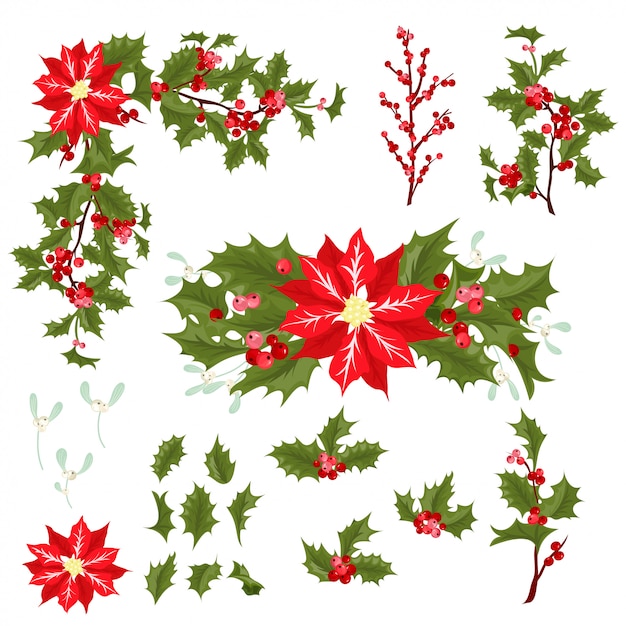 Download Premium Vector | Christmas berry flower vector illustration.