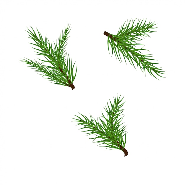 Download Christmas branches vector | Premium Vector