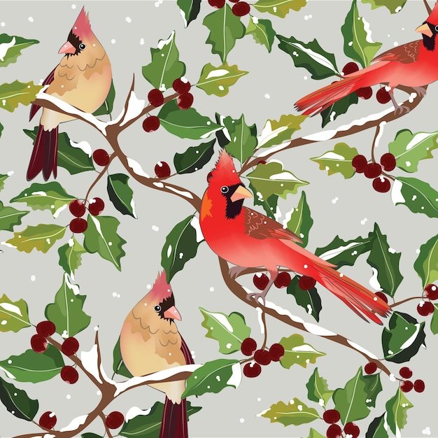 Premium Vector Christmas Cardinal Bird On Holly Tree