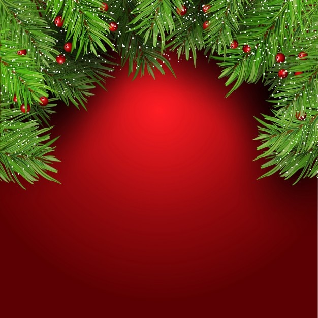 Christmas Wreath Vectors, Photos and PSD files | Free Download