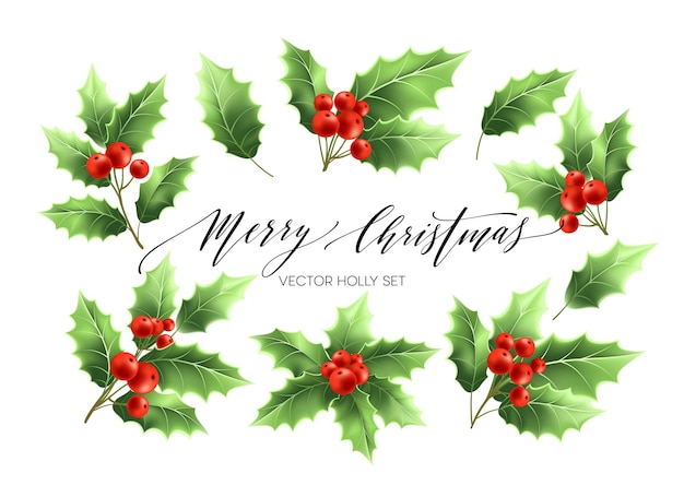 クリスマスのヒイラギの枝のリアルなイラストセット 赤いベリーと緑のヒイラギの小枝 メリークリスマスの手描きのレタリング 休日の装飾的な植物 ポスターのデザイン要素 分離されたベクトル プレミアムベクター