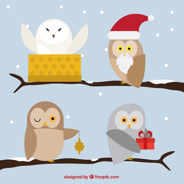 Download Christmas owls | Free Vector