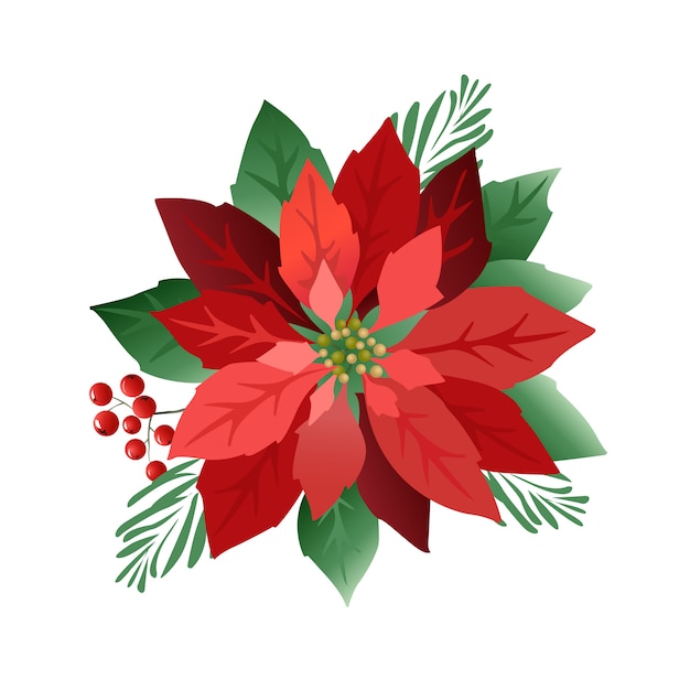 Christmas poinsettia flowers Vector | Premium Download