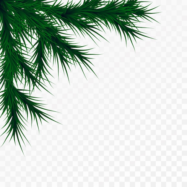 白い背景の上のクリスマスツリーの枝 松の木の装飾テンプレート クリスマスフレームイラスト テキスト用のスペース プレミアムベクター