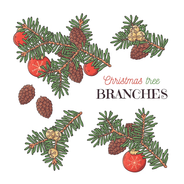 Download Christmas tree branches. | Premium Vector