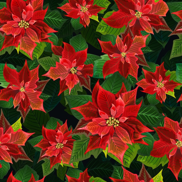 クリスマスの冬ポインセチアの花シームレスな背景 花柄のベクトルで印刷 プレミアムベクター