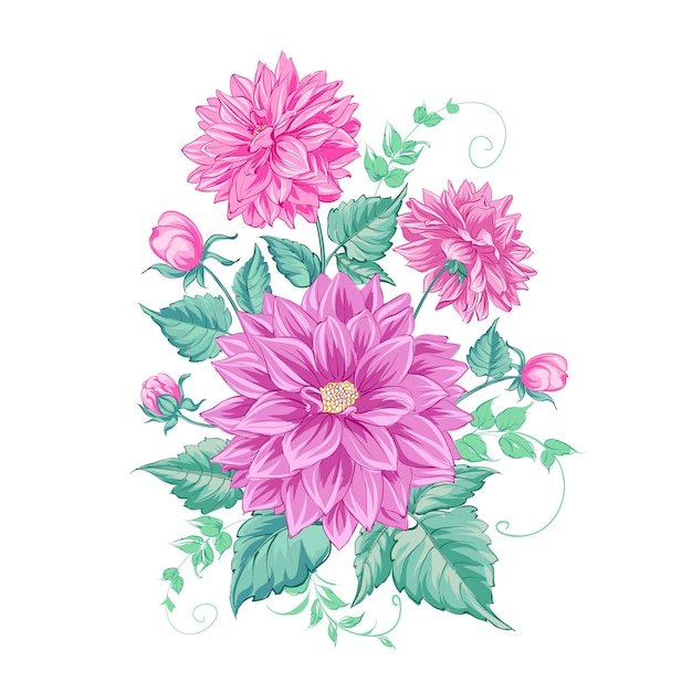 Download Free Vector | Chrysanthemum isolated flower over white.