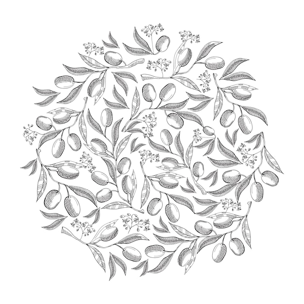 白い手描きのイラストに美しいベリーを繰り返すサークルパターンオリーブの花の落書き 無料のベクター