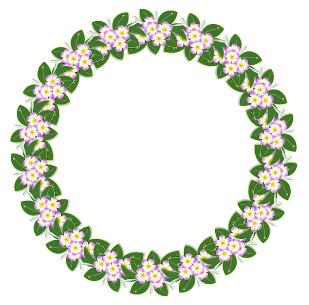 Download Circle pink plumeria flower frame | Premium Vector