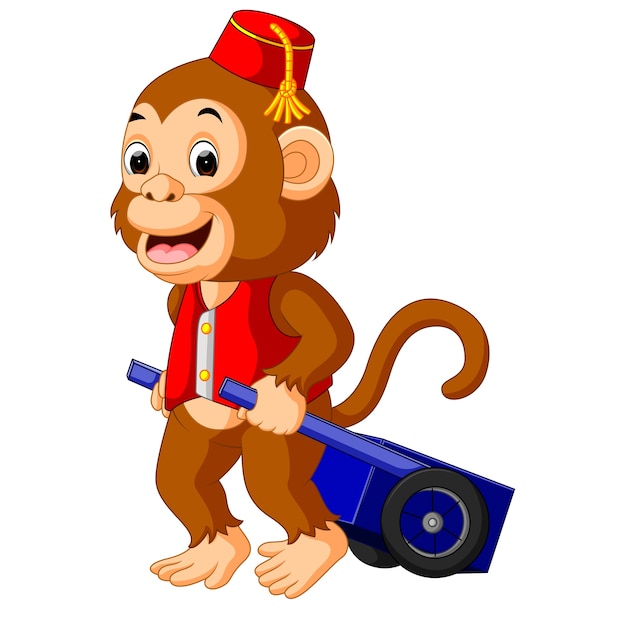 cirkus monkey