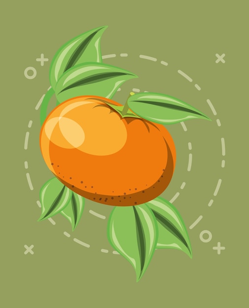 Premium Vector | Citric fruits design with tangerine and leaves icon