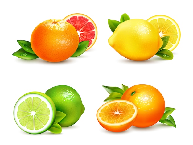 柑橘系の果物4リアルなアイコンセット 無料のベクター