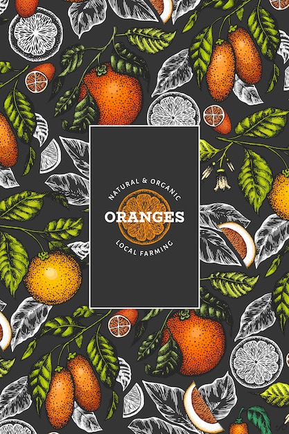 柑橘系の果物のデザインテンプレート 暗い背景に描かれたベクターカラーフルーツイラストを手します プレミアムベクター