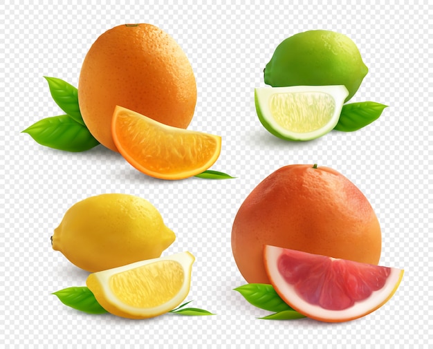 ライムオレンジレモンと透明な背景に分離されたグレープフルーツ入り現実的な柑橘系の果物 無料のベクター