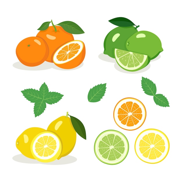 柑橘系の果物セット 明るい黄色のレモン グリーンライム オレンジオレンジ 半分とくさび ミントの葉 おいしいヘルシースナック 夏と春の食べ物 のアイコン ベクトルイラスト プレミアムベクター