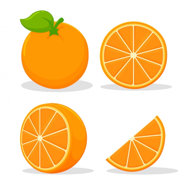 Premium Vector Citrus Fruits That Are High In Vitamin C Sour Helping To Feel Fresh