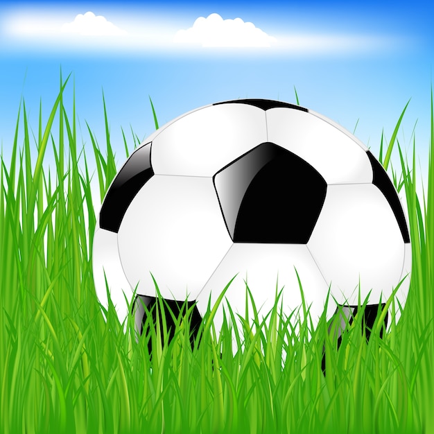 Premium Vector Classic Soccer Ball In Green Grass 6624