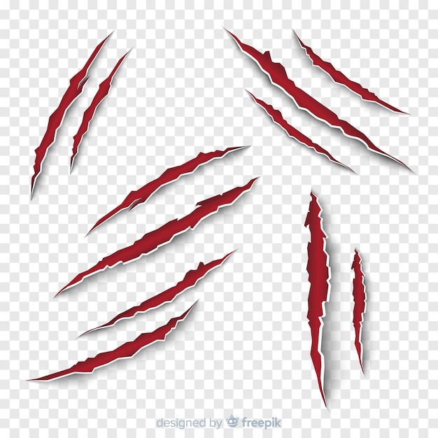 Download Claw scratches | Free Vector
