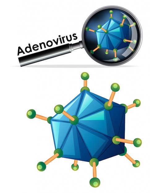 Close up isolated object of virus named adenovirus | Free Vector