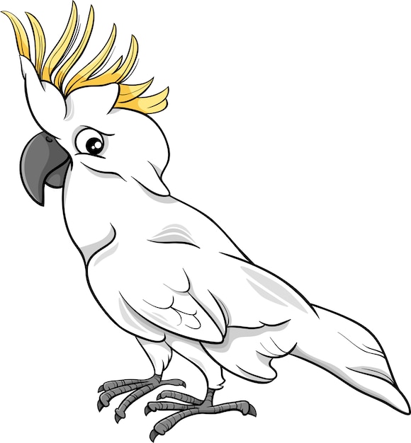 Premium Vector | Cockatoo parrot cartoon illustration