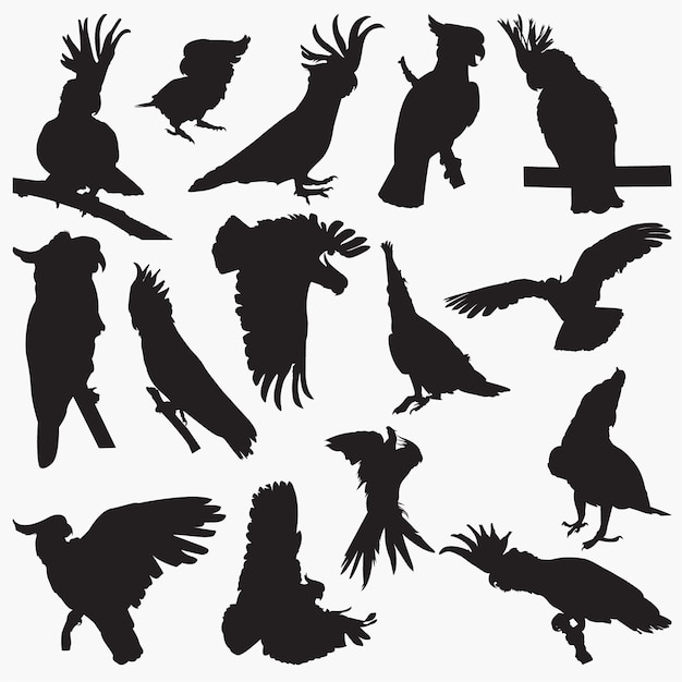 Cockatoo silhouettes | Premium Vector