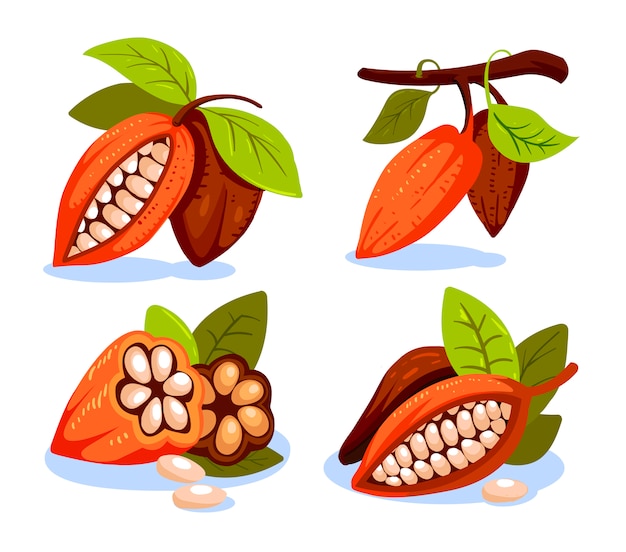 カカオ豆のイラスト漫画のスタイル チョコレートのカカオ豆の木 ココア エンブレムのデザインテンプレートの構成 カカオの植物 図 プレミアムベクター