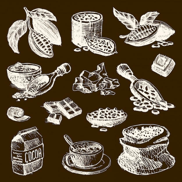 Cocoa products handdrawn sketch doodle style coffee beans ...
