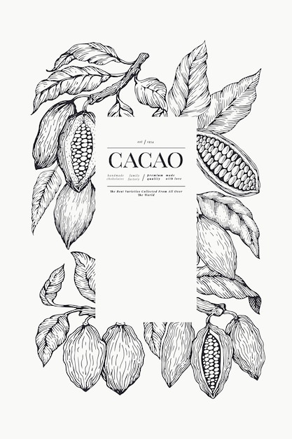 ココアテンプレート チョコレートのカカオ豆の背景 手描きイラスト ビンテージスタイルのイラスト プレミアムベクター