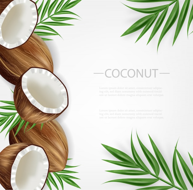 premium-vector-coconut-background-template