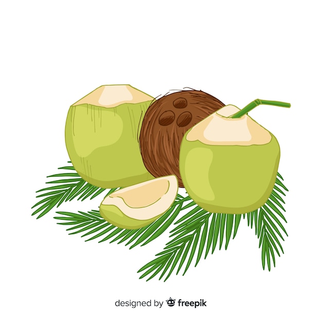 Coconut Free Vectors Stock Photos Psd