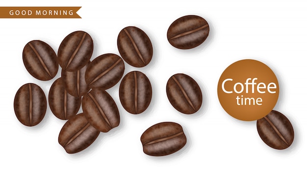 コーヒー豆のリアルなイラスト プレミアムベクター